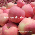 /msite/products/detail/productid/59942187/id/542998.html